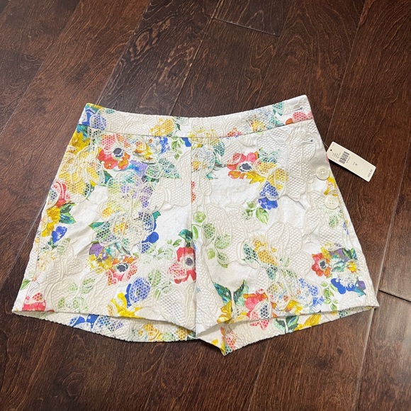 elevenses Pants - Anthropologie shorts